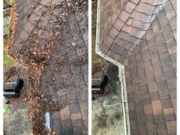 Gutter Cleaning