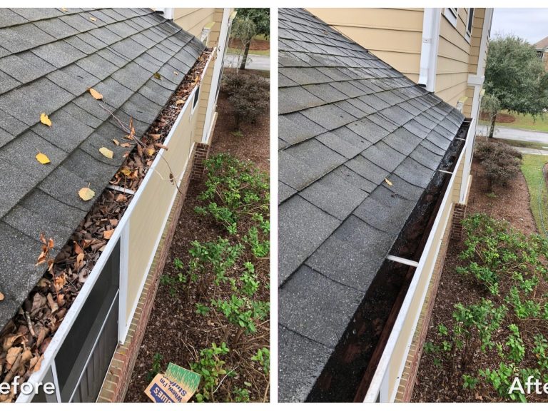 Gutter Cleaning