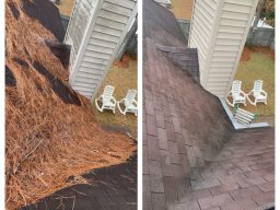 Gutter Cleaning